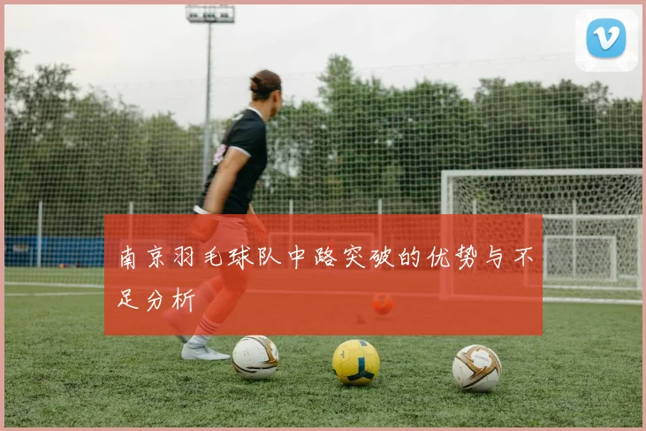 南京羽毛球队中路突破的优势与不足分析